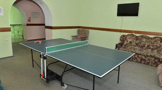 Настольный теннис