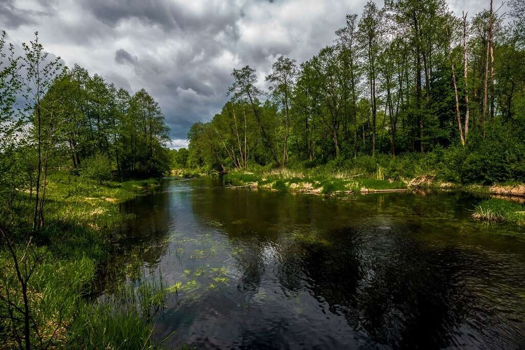 Приглашаем на отдых